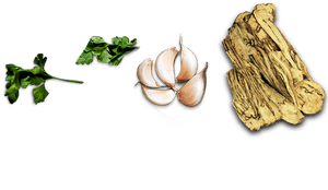 Ramen PNG