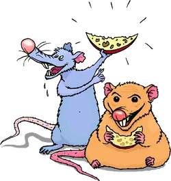 Rat PNG Image