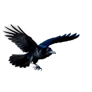 Raven In Flight Png 05062024 PNG Image