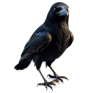 Raven In Gothic Style Png Ssm62 PNG Image