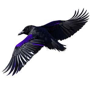Raven Profile View PNG kww49 PNG image with transparent background