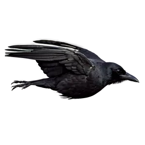 Raven Silhouette In Flight Png Xoj PNG Image