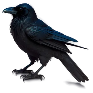 Raven Silhouette Png Gpe PNG Image