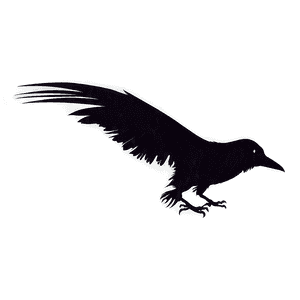 Raven Silhouette PNG ttm PNG image with transparent background