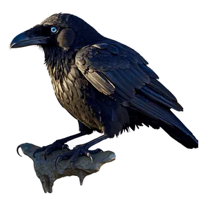 Raven With Bright Eyes Png Geo72 PNG Image