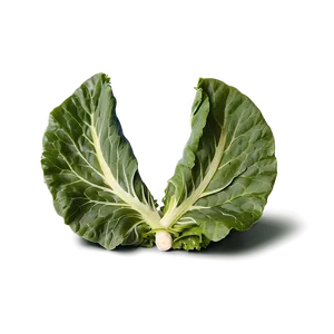 Raw Collard Greens Png 06252024 PNG Image