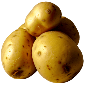 Raw Potato PNG lfy98 PNG image with transparent background