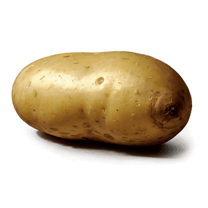 Raw Potato PNG vtd PNG image with transparent background