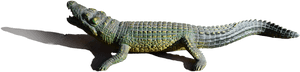 Real Alligator Png Image Background - American Crocodile, Transparent Png PNG image with transparent background