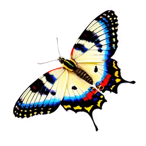 Real Butterfly Png 06262024 PNG Image