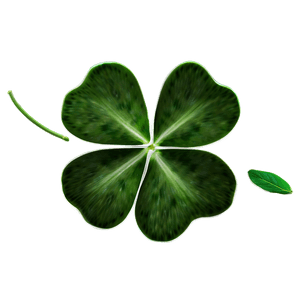 Real Four Leaf Clover PNG 05252024 PNG