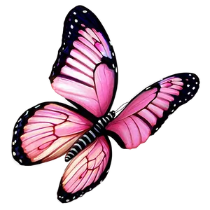 Real Pink Butterfly Png Esk PNG Image