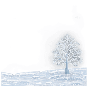 Real Snow Transparent PNG uou66 PNG