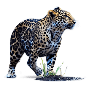 Real Wildlife Adventure PNG 06252024 PNG with transparent background