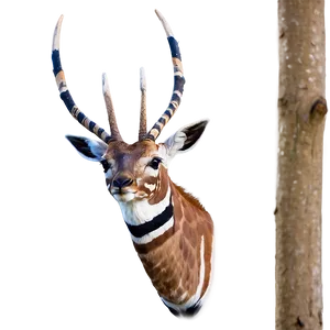 Real Wildlife In Action Png 98 PNG Image