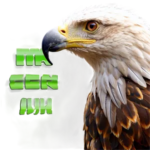 Realistic Aguila Png 10 PNG Image