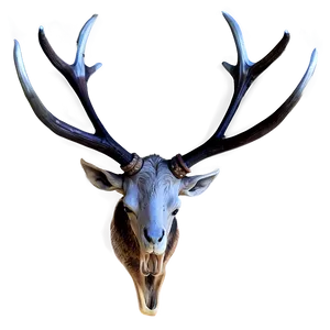 Realistic Antler Graphic Png 06212024 PNG Image