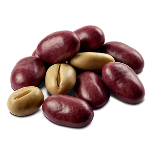 Realistic Bean Can Png Tym PNG Image