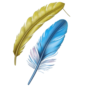 Realistic Bird Feather PNG 05042024 PNG image with transparent background