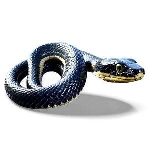 Realistic Black Snake Design Png Lkq PNG Image