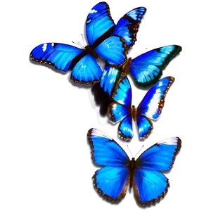 Realistic Blue Butterfly Image Png 05212024 PNG Image