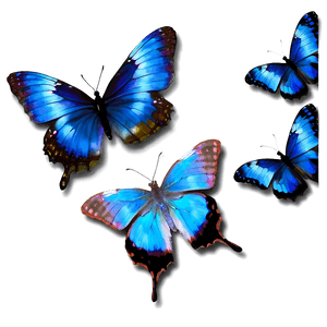 Realistic Blue Butterfly Image PNG eyh85 PNG image with transparent background