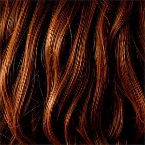 Realistic Brown Hair Texture PNG hja14 PNG