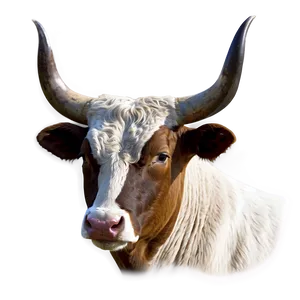 Realistic Bull Head Png Ynw5 PNG Image