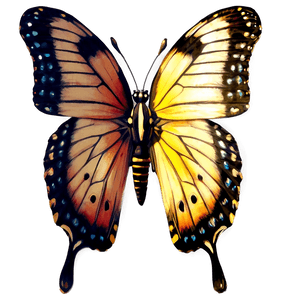Realistic Butterflies PNG eab52 PNG image with transparent background