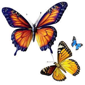 Realistic Butterflies PNG phq79 PNG image with transparent background