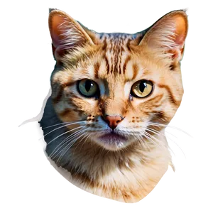 Realistic Cat Filter Png Fpl PNG Image