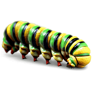 Realistic Caterpillar Design PNG ewb PNG image with transparent background