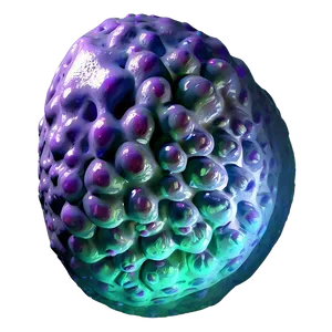 Realistic Cell Nucleus Png Gog PNG Image