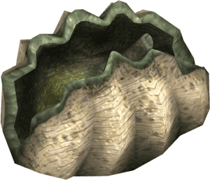 Giant Clam - Giant Clam Png, Transparent Png PNG with transparent background