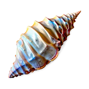 Realistic Conch Shell Design Png 21 PNG Image