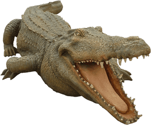 Transparent Crocodiles Clipart - Philippine Crocodile Png, Png Download PNG image with transparent background