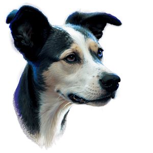 Realistic Dog Face Drawing PNG dtc PNG