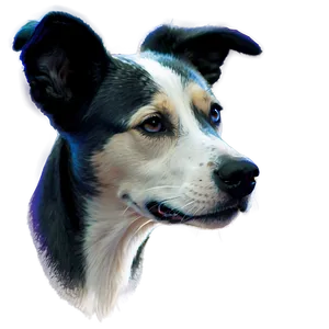 Realistic Dog Face Drawing Png Dtc PNG Image