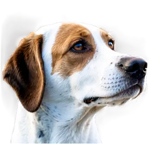 Realistic Dog Head Png 97 PNG Image