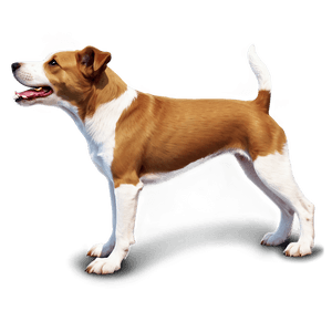 Realistic Dogs PNG 05242024 PNG image with transparent background