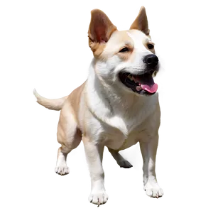 Realistic Dogs Png 76 PNG Image