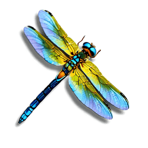Realistic Dragonfly PNG 05212024 PNG image with transparent background