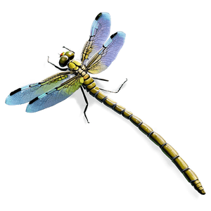 Realistic Dragonfly PNG jbe56 PNG image with transparent background