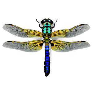 Realistic Dragonfly PNG jkn55 PNG image with transparent background