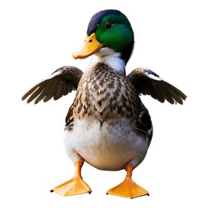 Realistic Duck PNG luu PNG image with transparent background