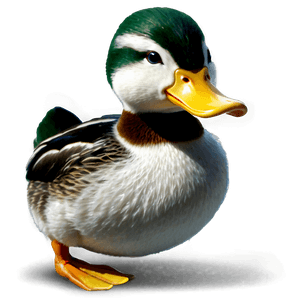 Realistic Duck PNG tjv PNG image with transparent background