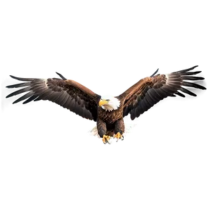 Realistic Eagle Wings Drawing Png 06262024 PNG Image