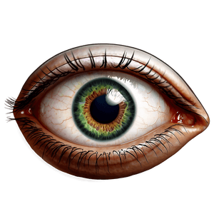 Realistic Eye Drawing PNG kpo54 PNG image with transparent background