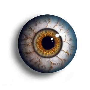 Realistic Eyeball PNG idl PNG image with transparent background