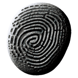 Realistic Fingerprint Graphic PNG aff86 PNG image with transparent background